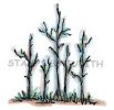 I-217-HK Birch Tree Cluster